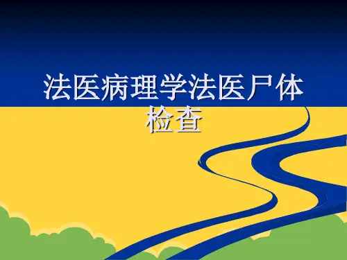 法医病理学法医尸体检查ppt实用资料