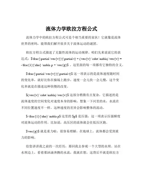流体力学欧拉方程公式