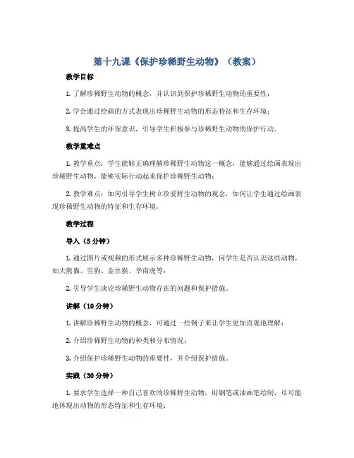 第十九课《保护珍稀野生动物》(教案)2022-2023学年美术三年级下册