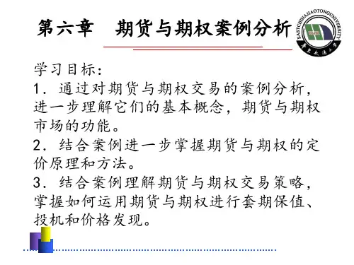 30第六章  期货与期权案例分析