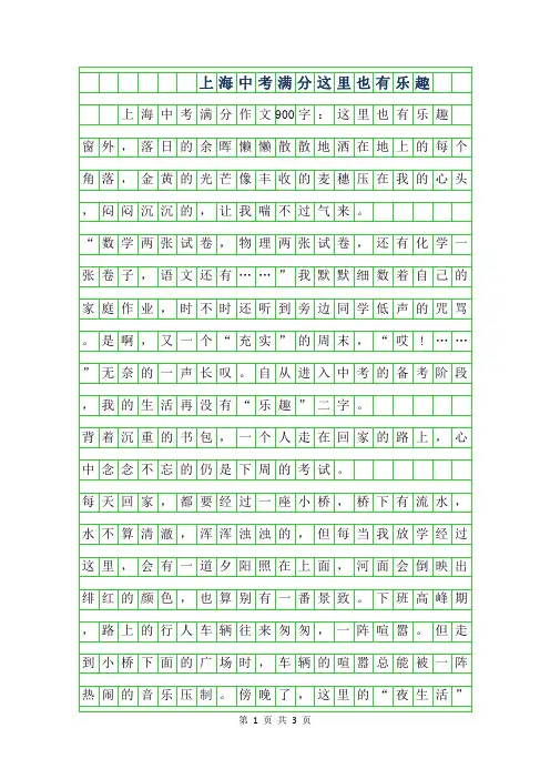 2019年上海中考满分作文900字-这里也有乐趣