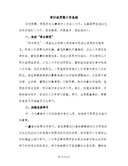 审计试用期工作总结（2篇）