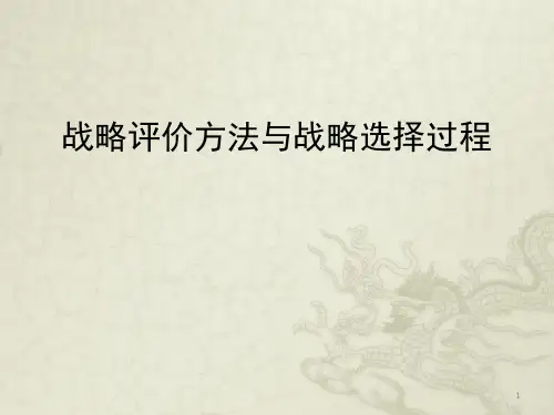 战略评价和战略选择ppt课件