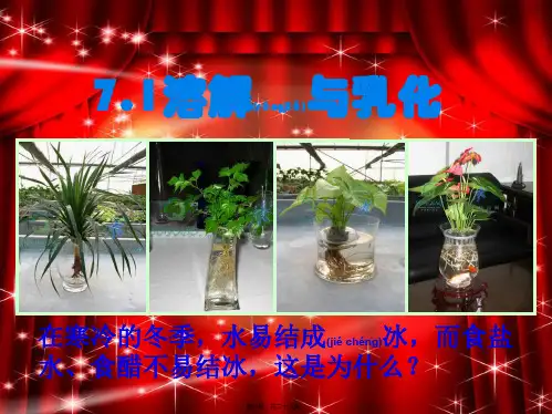九年级化学下册 7.1 溶解与乳化课件