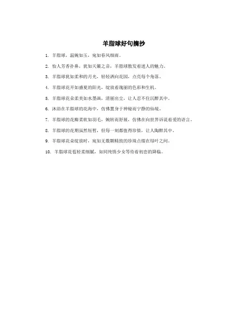 羊脂球好句摘抄