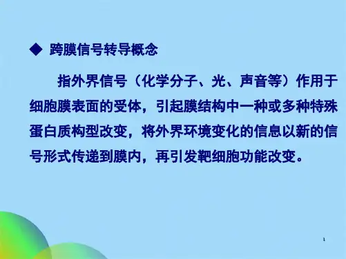 细胞的信号转导(共22张PPT)