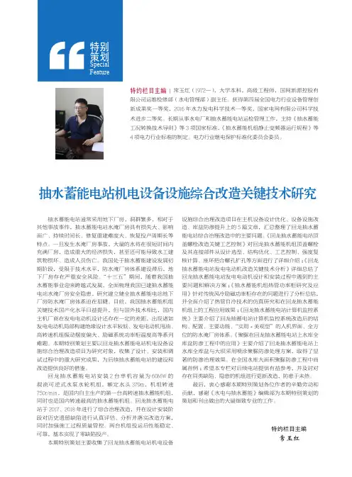 抽水蓄能电站机电设备设施综合改造关键技术研究