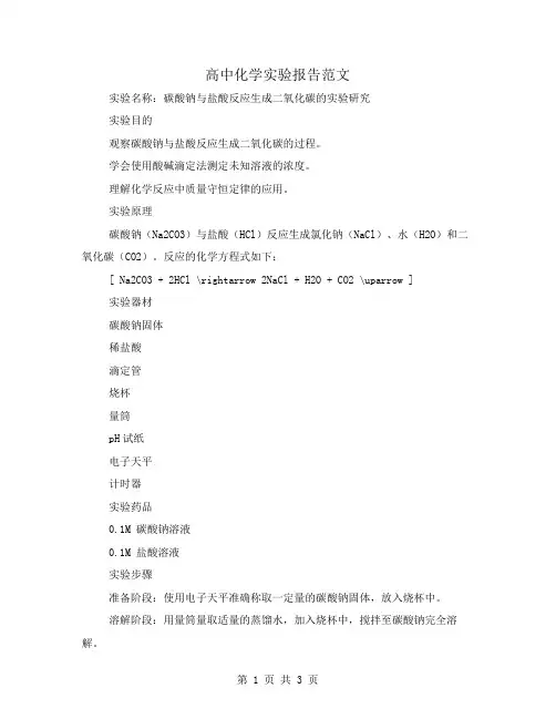高中化学实验报告范文