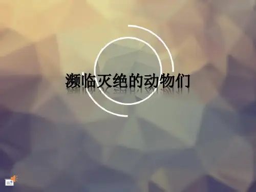 濒临灭绝额动物们详解