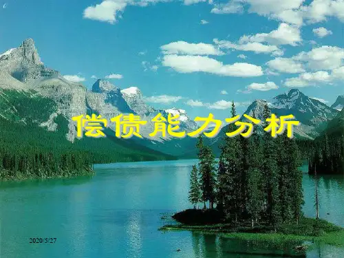 财务分析八偿债能力分析ppt课件