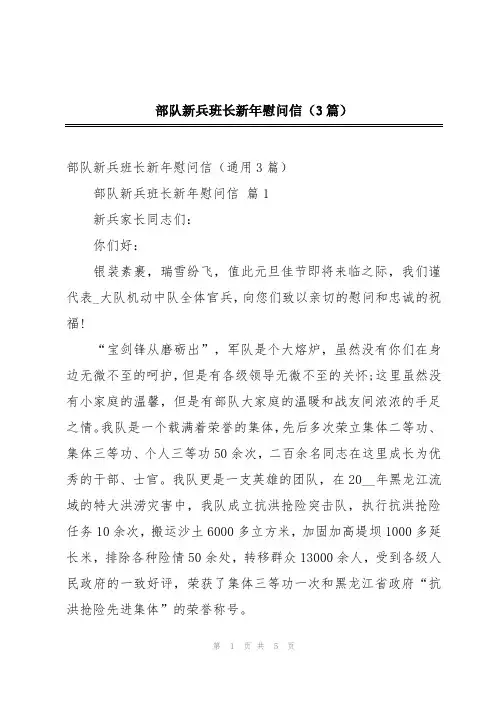 部队新兵班长新年慰问信(3篇)