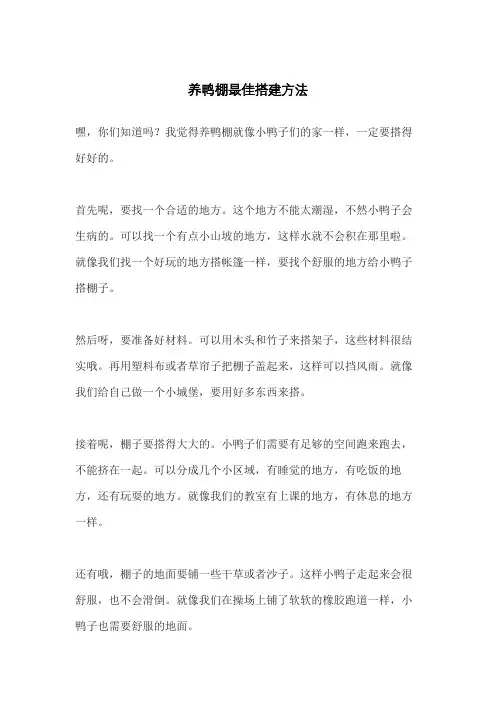 养鸭棚最佳搭建方法