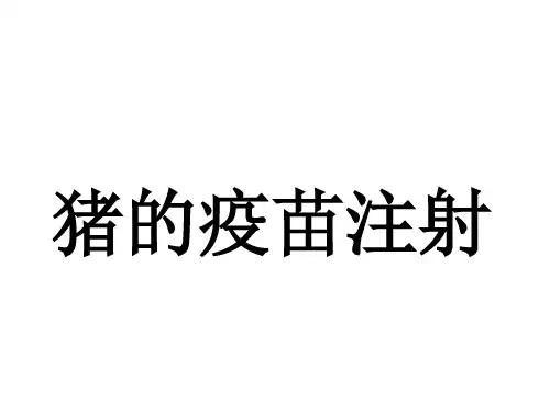 猪场免疫注射基本操作