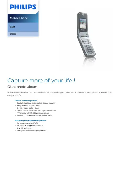 Philips 859 移动电话说明书