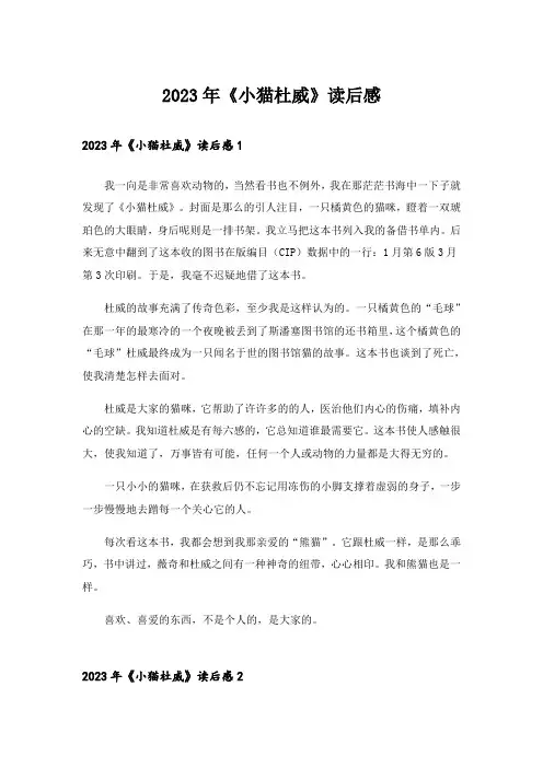 2023年《小猫杜威》读后感_2