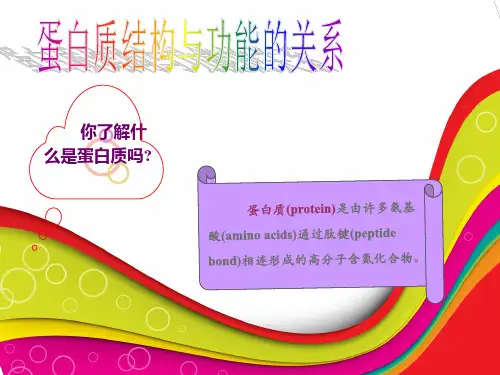 蛋白质结构与功能的关系