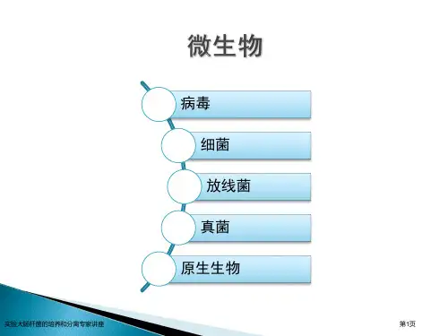 实验大肠杆菌的培养和分离专家讲座