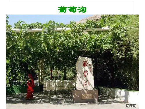 二年级上册《葡萄沟》PPT优秀课件部编版