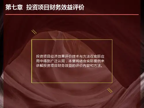 投资项目财务效益评估