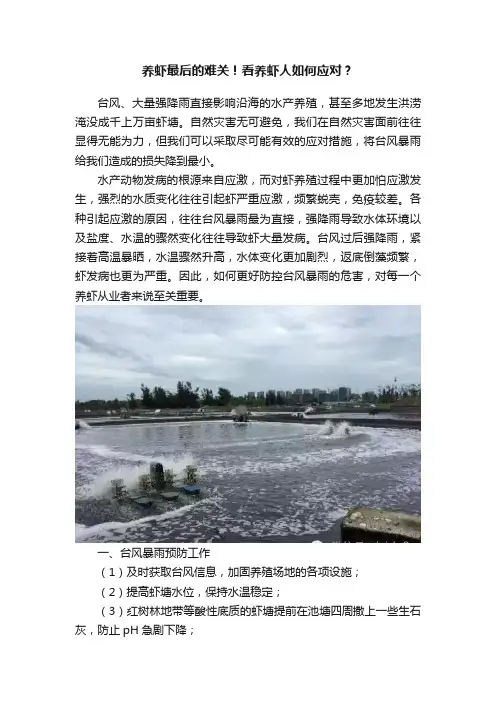 养虾最后的难关！看养虾人如何应对？