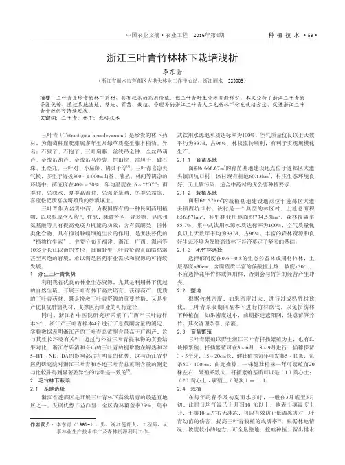 浙江三叶青竹林林下栽培浅析