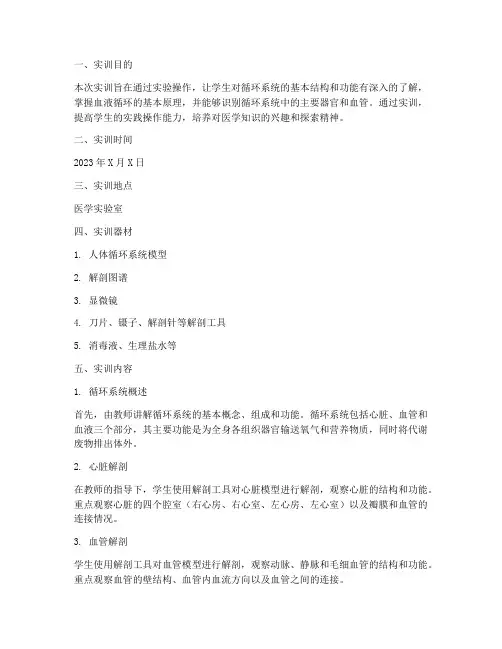 认识循环系统的实训报告