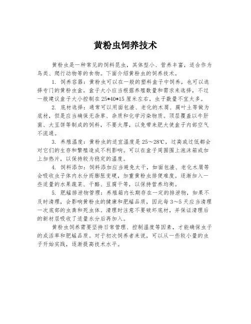 黄粉虫饲养技术