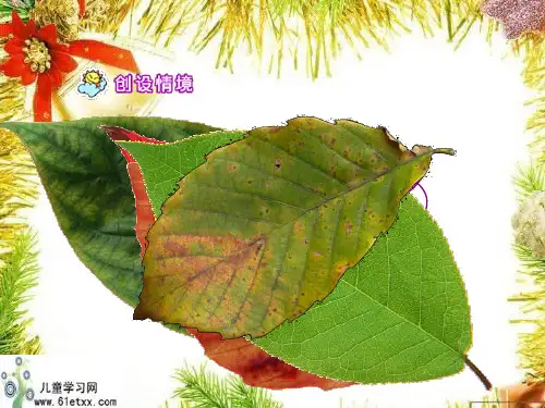 二年级语文上册课件 蓝色的树叶 6
