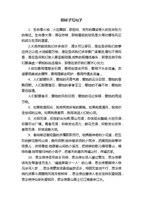 照样子写句子