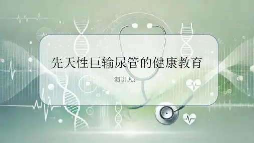先天性巨输尿管健康教育PPT
