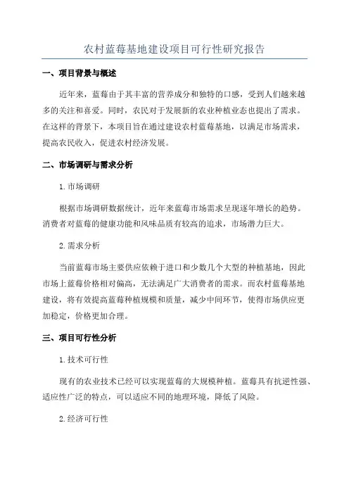 农村蓝莓基地建设项目可行性研究报告