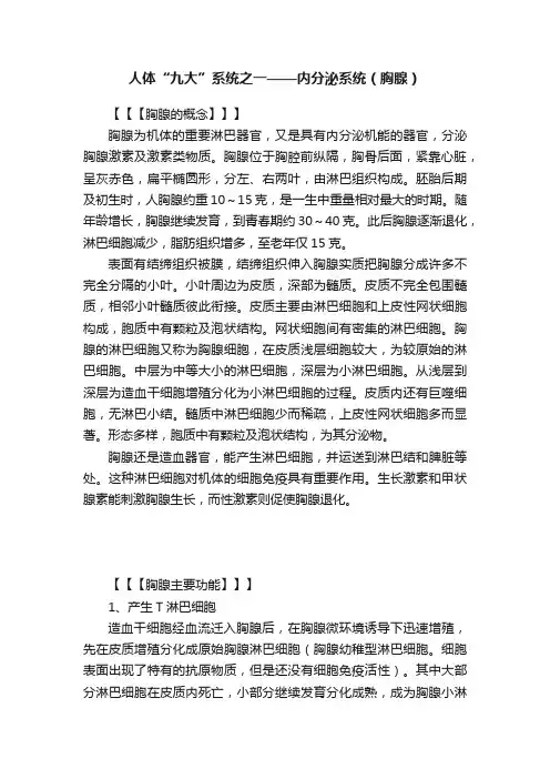 人体“九大”系统之一——内分泌系统（胸腺）