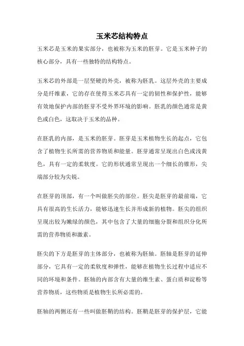 玉米芯结构特点