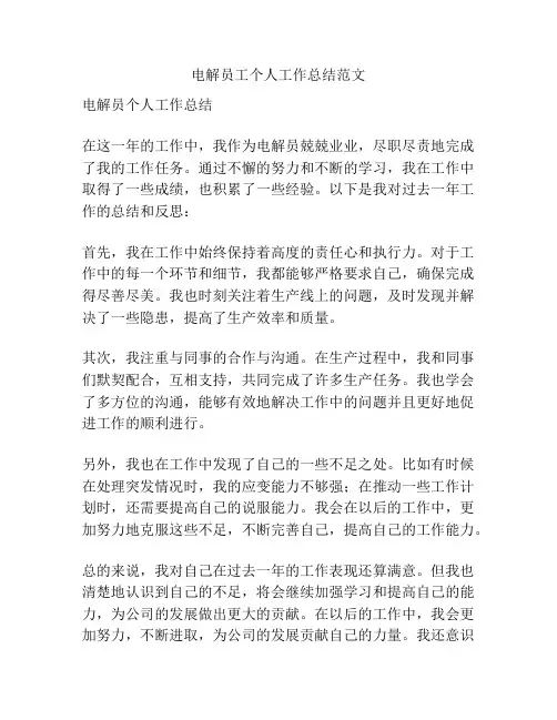 电解员工个人工作总结范文