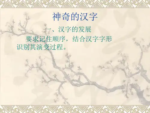 神奇的汉字课件
