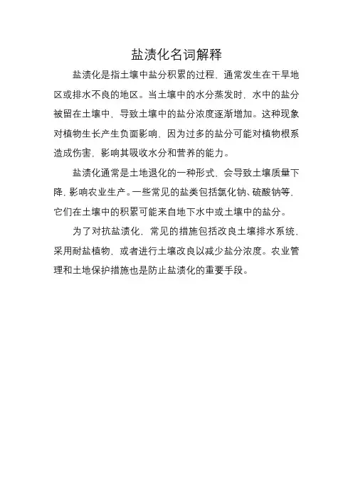 盐渍化名词解释