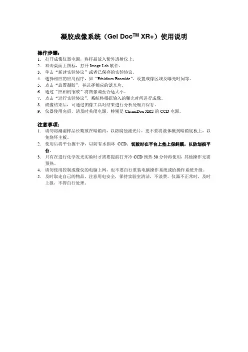 凝胶成像系统(Gel DocTM XR+)使用说明