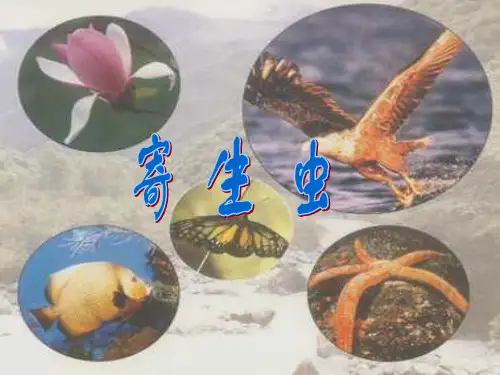 寄生虫PPT教学课件
