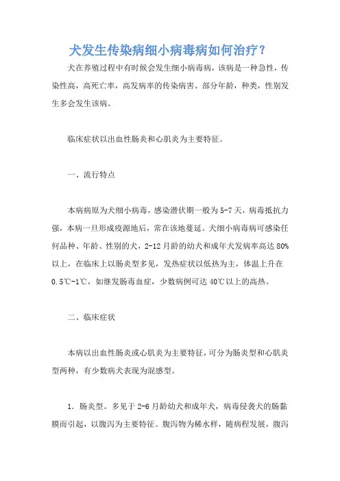 犬发生传染病细小病毒病如何治疗？