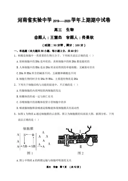 河南省实验中学2020届高三上学期期中考试+生物+Word版含答案