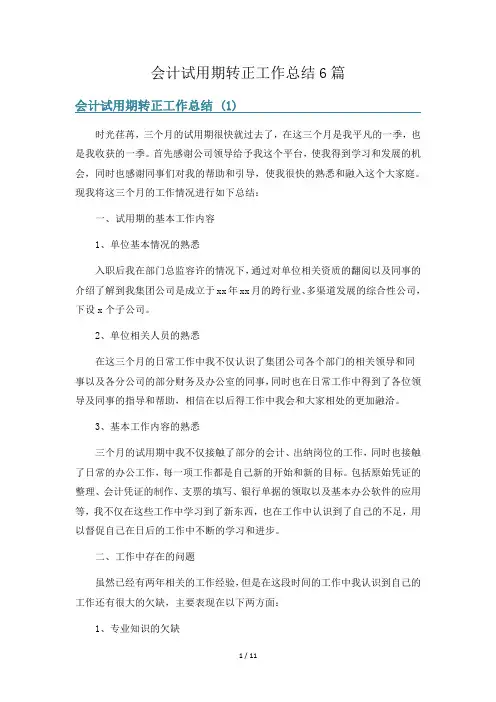 会计试用期转正工作总结6篇