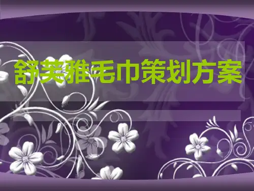 毛巾市场营销策划方案概述