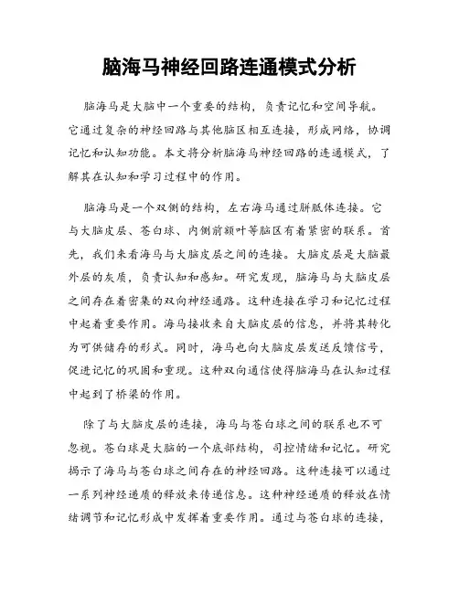 脑海马神经回路连通模式分析