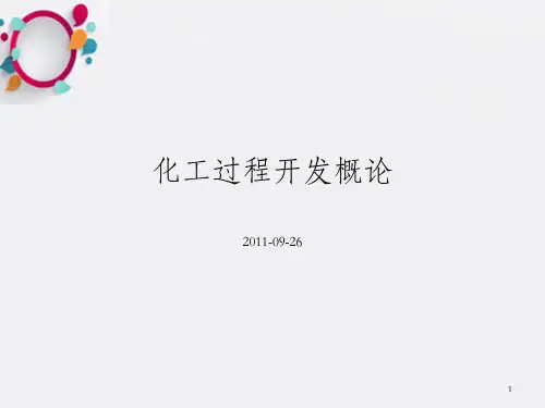 化工过程开发概论