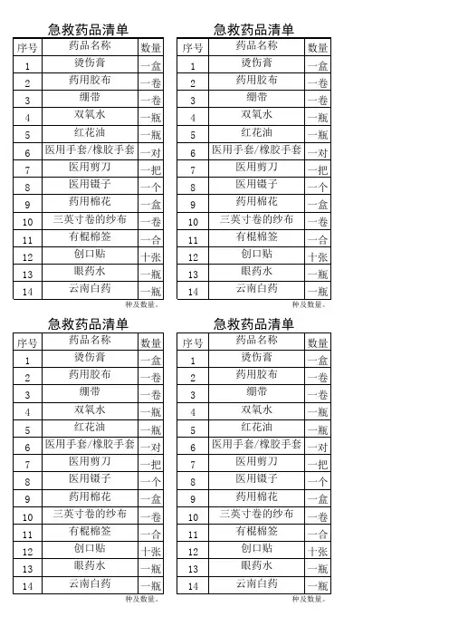 记录——急救药品清单