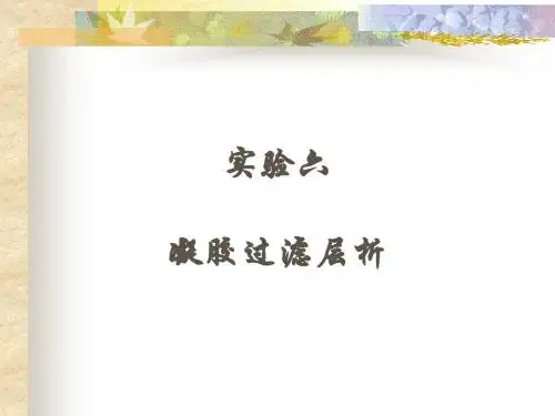 凝胶过滤层析