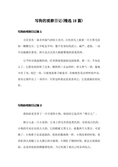 写狗的观察日记(精选18篇)