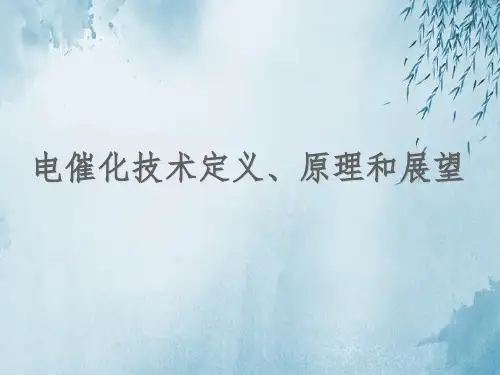 电催化技术定义、原理和展望ppt