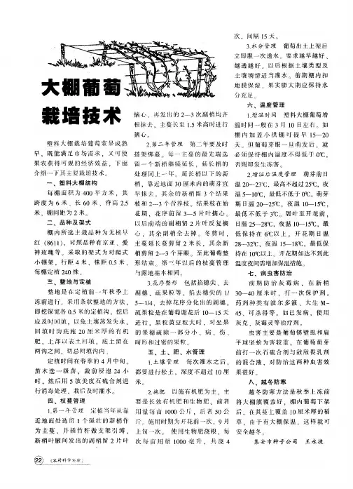 大棚葡萄栽培技术