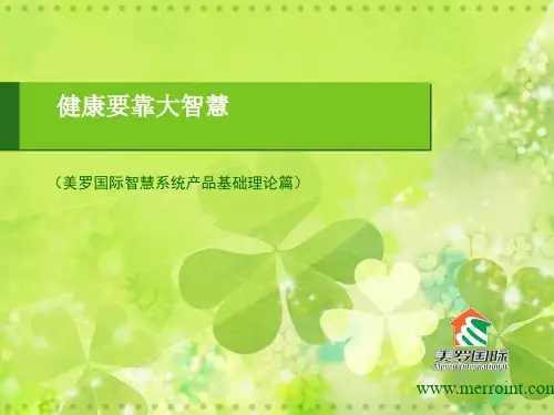 美罗国际产品介绍